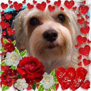 Meet your Posher, Marcia